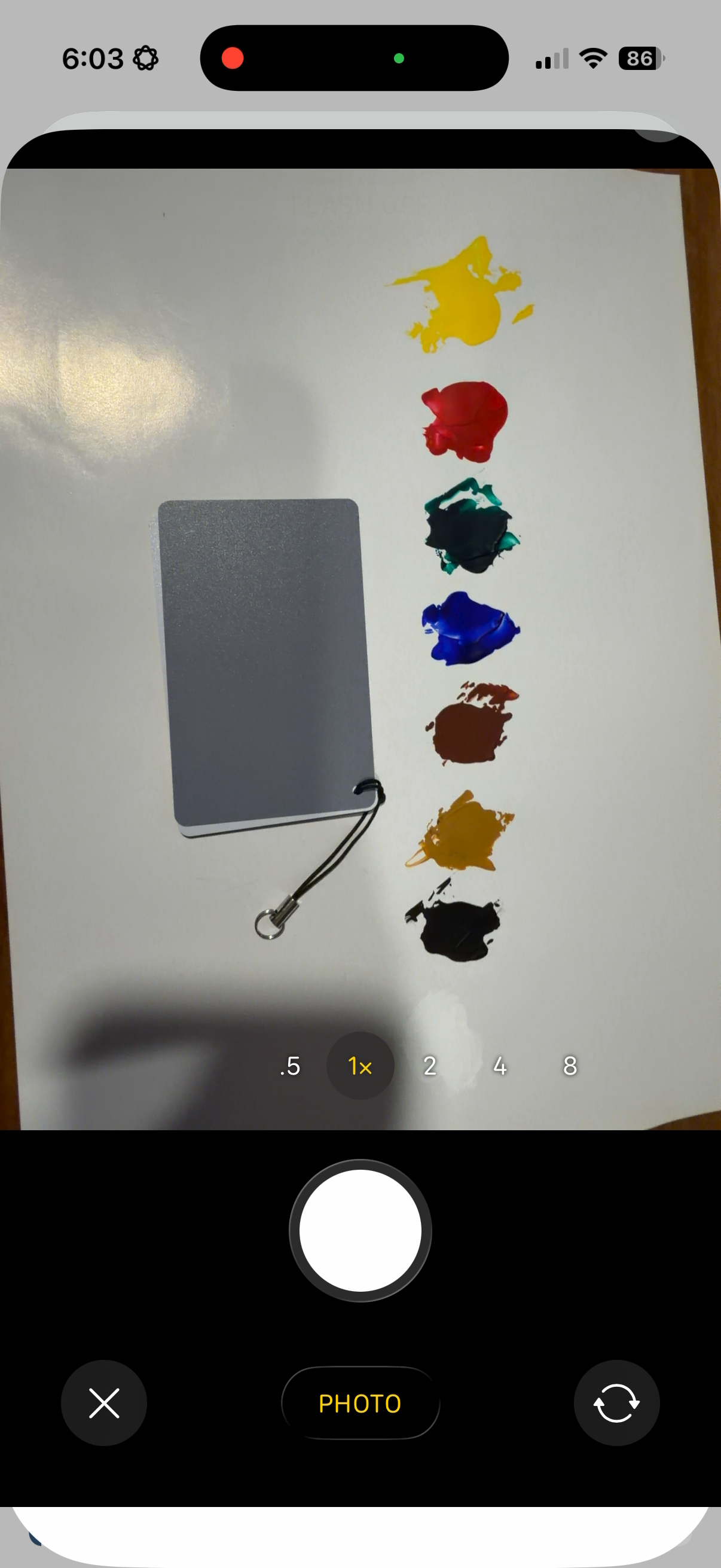 Physical paint swatches beside a neutral grey reference card